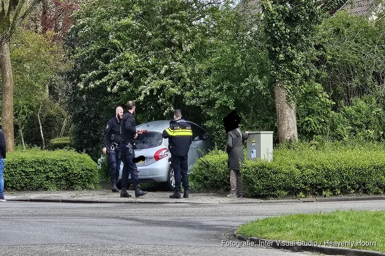 Automobilist rijdt de bosjes in