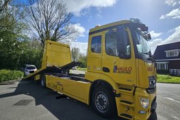 Automobilist rijdt de bosjes in