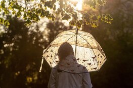 Lente blijft wisselvallig, regelmatig zon, maar met name midweeks ook weer pittige buien