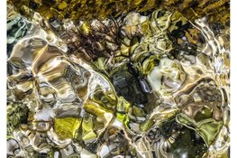 Fotograaf Miep Knöptels exposeert in Bibliotheek Schagen