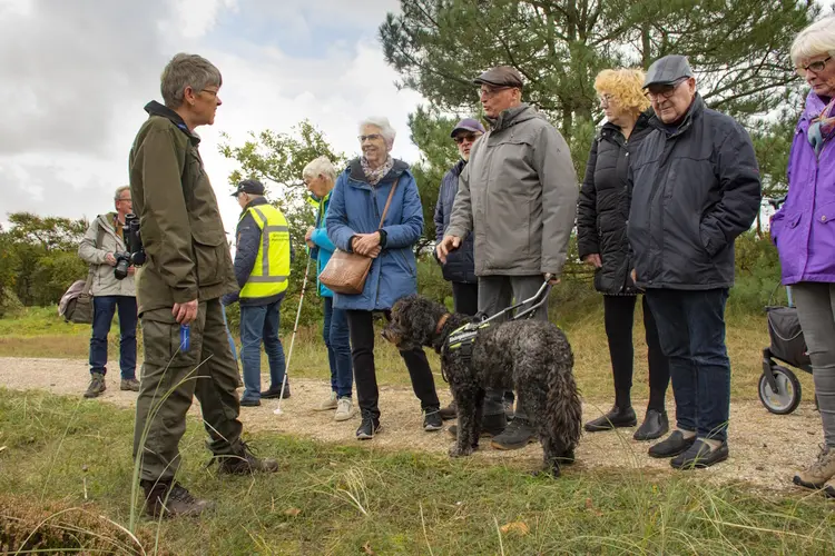 Rol(stoel)vriendelijke natuurbeleving in het Zwanenwater