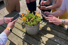 Smartphone fotografie anno 2024: check deze gratis tips!