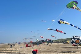 Vliegerfeest maakt vliegende start