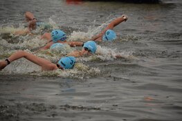 Open Water Wedstrijd Anna Paulowna: een spetterend sportevenement voor alle leeftijden