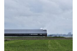 Brand op terrein van geitenhouderij in Schagerbrug