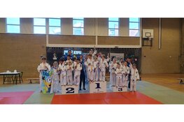 Uitslagen Carnavals team toernooi bij Judoschool EBI-Sports