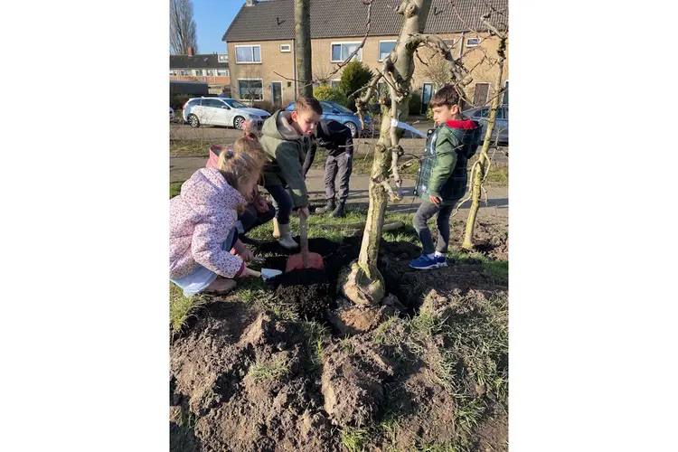 Kindcentrum de Ark plant fruitbomen voor een groen schoolplein