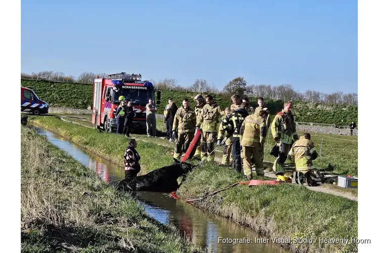 Paard te water in Schagen