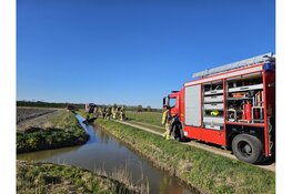 Paard te water in Schagen