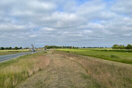 Positieve resultaten natuurvriendelijk bermbeheer provincie Noord-Holland