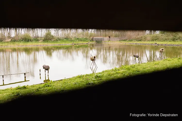 Hoor en zie de 'geheimen' van Eendenkooi 't Zand