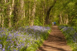 Open dag natuurgebied Wildrijk op zondag 27 april