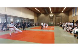 Succesvol judoweekend voor EBI-Sports