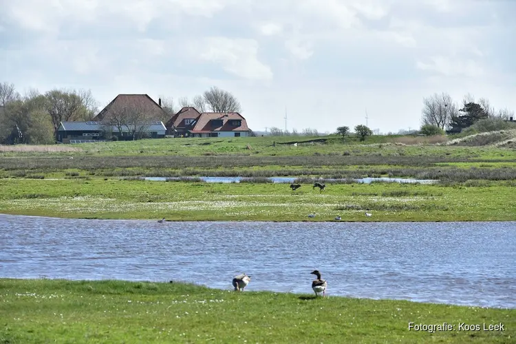 Nationale vogelweek