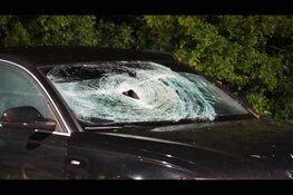 Automobilist vlucht na snelheidsmeting en verliest macht over het stuur