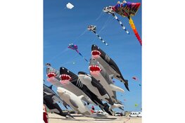 Zesde editie Vliegerfeest Callantsoog kleurt het strand met spectaculaire creaties