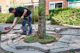 Help onze gemeente vergroenen: geef een stoep op!