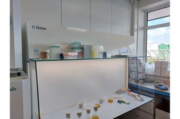 Langdurige samenwerking The Baker Company en Bejo Zaden