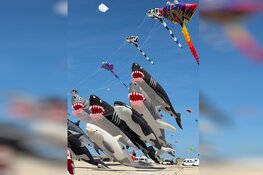 Perfect vliegweer en meer dan 110 deelnemers voor zesde editie aan zee