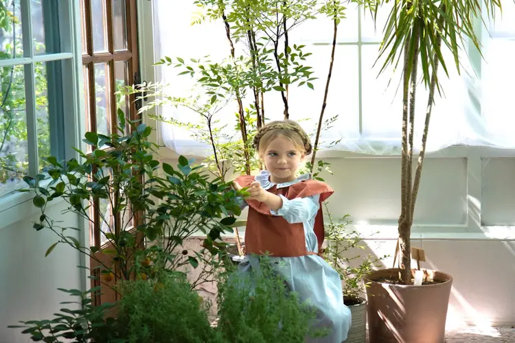 Zo kies je de juiste tuinkamer in Schagen