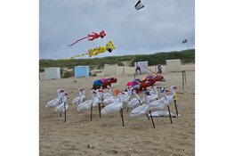 Succesvolle eerste dag Vliegerfeest in Callantsoog