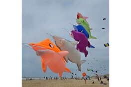 Succesvolle eerste dag Vliegerfeest in Callantsoog