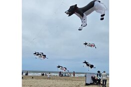 Succesvolle eerste dag Vliegerfeest in Callantsoog