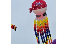 Succesvolle eerste dag Vliegerfeest in Callantsoog