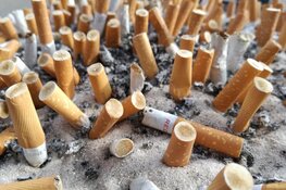 Laat de zee zien tijdens de Boskalis Beach Cleanup Tour!