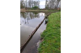 Nieuwe oeverbeschoeiing bij eendenkooi ’t Zand gerealiseerd