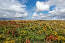 Zwerftocht voor fotografen door het Botgat bij Groote Keeten
