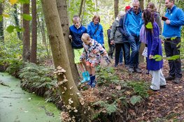 Paddenstoelendag in Wildrijk