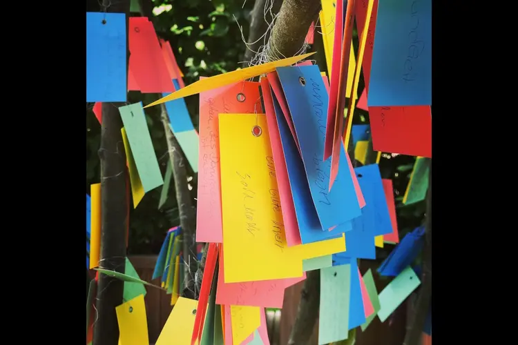 Nieuwe gedenkboom in Schagen biedt plek voor herinnering