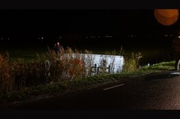 Bestelbus DPD eindigt in sloot Callantsoog