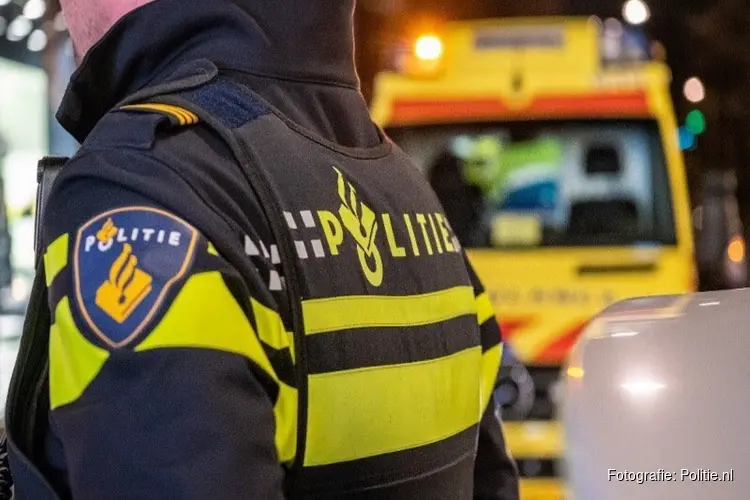 Twee personen overleden bij eenzijdig ongeval N245