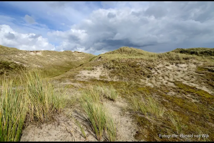 Wandeling door de Noordduinen
