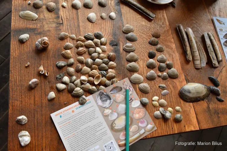 Nationale Schelpenteldag al weer voor het vijfde jaar op rij!