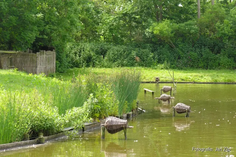 Kijkje achter de schermen van Eendenkooi 't Zand