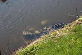 Motorrijder zwaargewond na ongeval op dijk, traumahelikopter geland