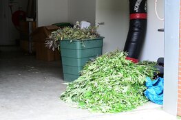 Hennepkwekerij ontdekt in bedrijfspand Tuitjenhorn
