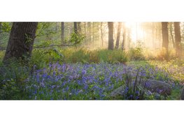 Open dag in sprookjesachtig Wildrijk