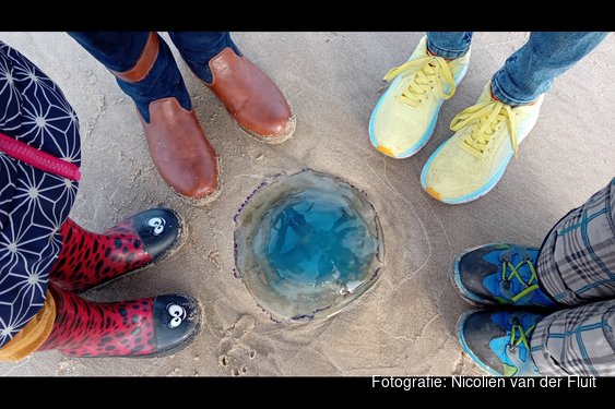 Strandopruiming Petten zondag 26 april van 10.00 uur tot circa 12.00 uur