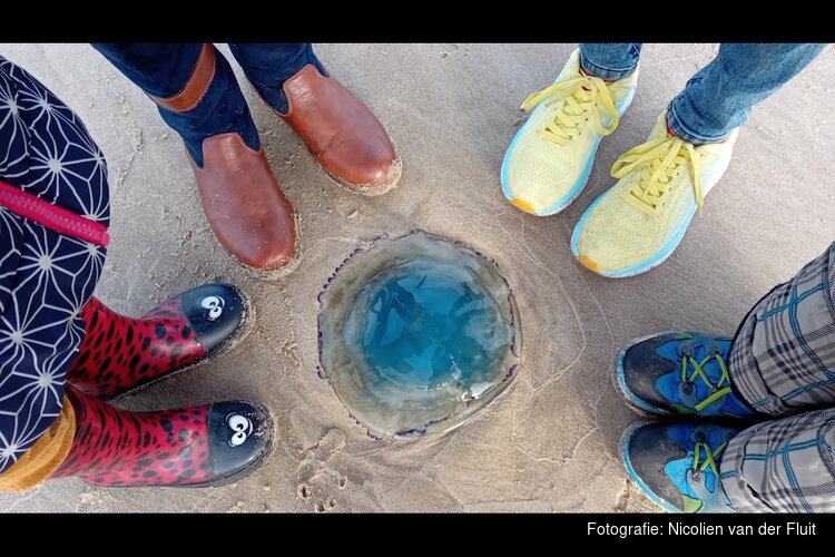 Strandopruiming Petten zondag 26 april van 10.00 uur tot circa 12.00 uur