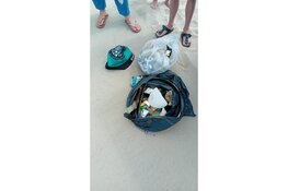 Strandopruiming Petten op woensdag 24 juni van 13.00 tot 14.30 uur