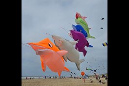 Vliegerfeest komt eraan op 4 en 5 juli as. in Callantsoog