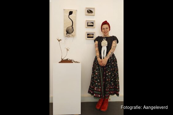 Expositie 'Meet the Artist' op zaterdag 28 juni bij Kunsthuis Steengoed in Anna Paulowna