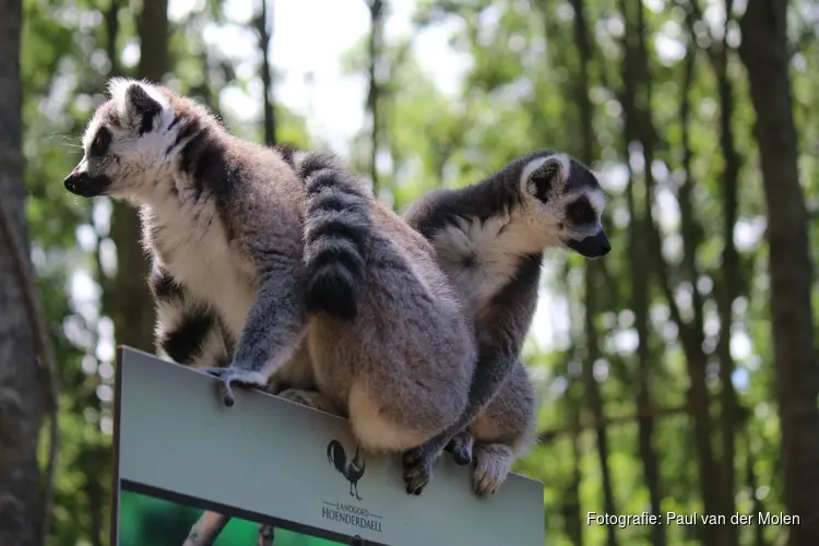 Met de bus naar Dierenpark Hoenderdaell