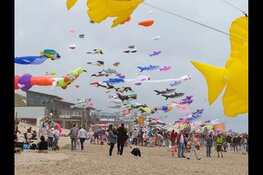 Vliegerfeest in Callantsoog trekt record aantal bezoekers