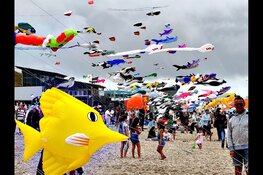 Vliegerfeest in Callantsoog trekt record aantal bezoekers