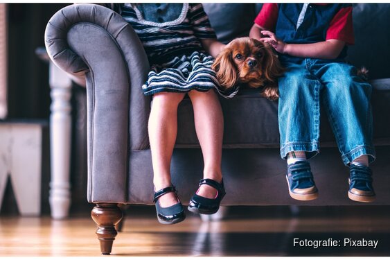 Gratis bijeenkomst in Schagen biedt inzicht in de beleving van kinderen bij een scheiding